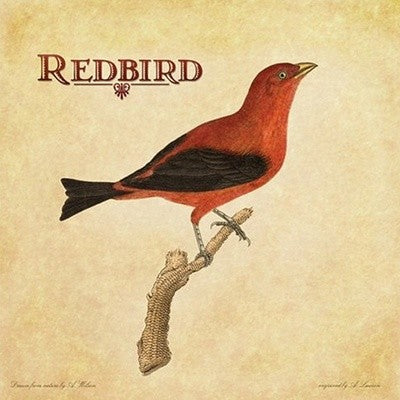 Redbird CD